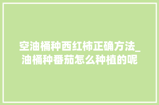 空油桶种西红柿正确方法_油桶种番茄怎么种植的呢