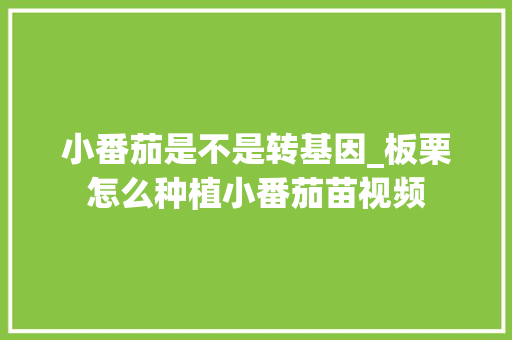 小番茄是不是转基因_板栗怎么种植小番茄苗视频