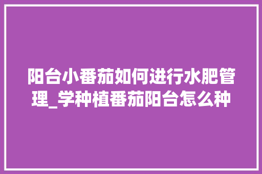 阳台小番茄如何进行水肥管理_学种植番茄阳台怎么种植视频