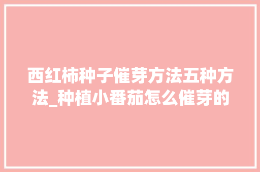 西红柿种子催芽方法五种方法_种植小番茄怎么催芽的视频