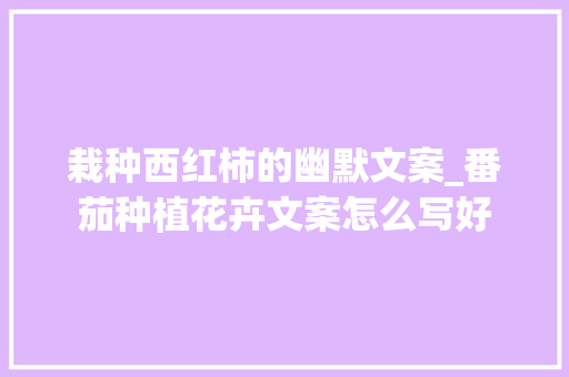 栽种西红柿的幽默文案_番茄种植花卉文案怎么写好 栽种西红柿的幽默文案_番茄种植花卉文案怎么写好 种植技巧
