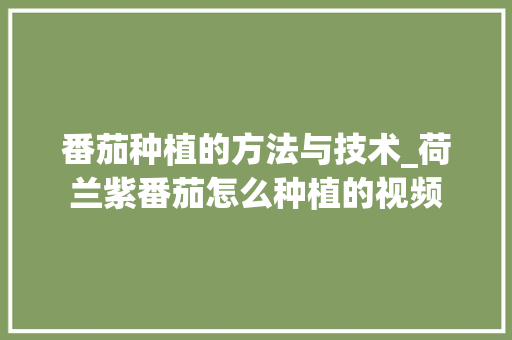 番茄种植的方法与技术_荷兰紫番茄怎么种植的视频 番茄种植的方法与技术_荷兰紫番茄怎么种植的视频 种植技巧