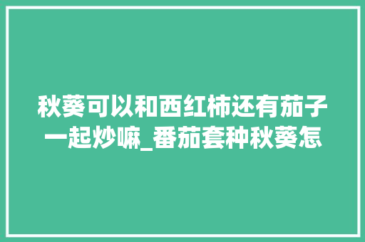 秋葵可以和西红柿还有茄子一起炒嘛_番茄套种秋葵怎么种植的视频