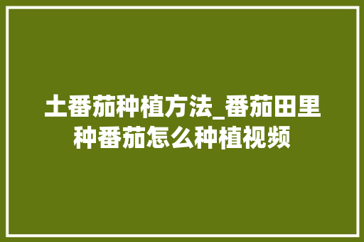 土番茄种植方法_番茄田里种番茄怎么种植视频 土番茄种植方法_番茄田里种番茄怎么种植视频 植物种类