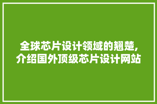 全球芯片设计领域的翘楚,介绍国外顶级芯片设计网站的魅力