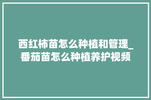 西红柿苗怎么种植和管理_番茄苗怎么种植养护视频 西红柿苗怎么种植和管理_番茄苗怎么种植养护视频 农业常识