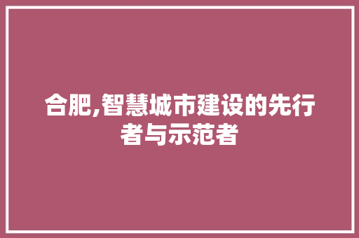 合肥,智慧城市建设的先行者与示范者