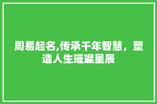 周易起名,传承千年智慧，塑造人生璀璨星辰
