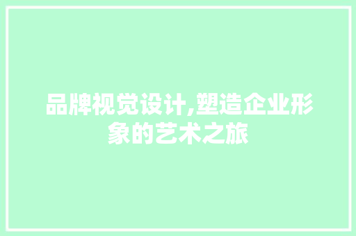 品牌视觉设计,塑造企业形象的艺术之旅