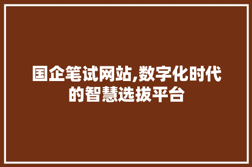 国企笔试网站,数字化时代的智慧选拔平台