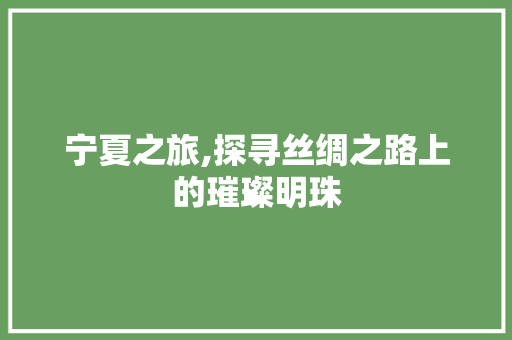 宁夏之旅,探寻丝绸之路上的璀璨明珠