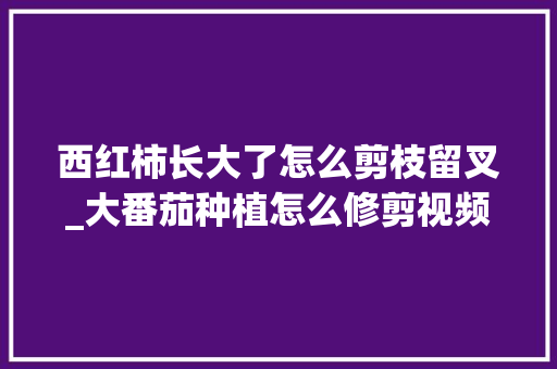 西红柿长大了怎么剪枝留叉_大番茄种植怎么修剪视频 西红柿长大了怎么剪枝留叉_大番茄种植怎么修剪视频 花朵知识