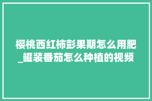 樱桃西红柿彭果期怎么用肥_罐装番茄怎么种植的视频教程 樱桃西红柿彭果期怎么用肥_罐装番茄怎么种植的视频教程 番茄病虫害防治