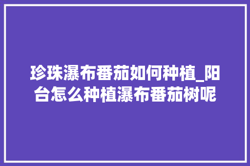 珍珠瀑布番茄如何种植_阳台怎么种植瀑布番茄树呢 珍珠瀑布番茄如何种植_阳台怎么种植瀑布番茄树呢 番茄病虫害防治