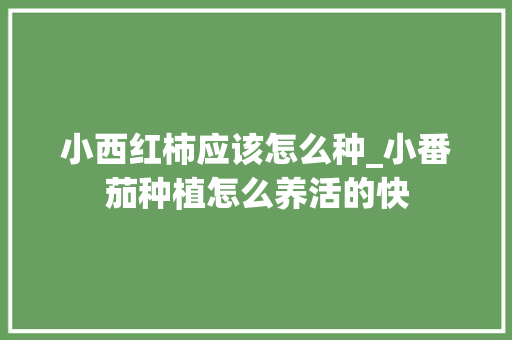 小西红柿应该怎么种_小番茄种植怎么养活的快 小西红柿应该怎么种_小番茄种植怎么养活的快 农业常识