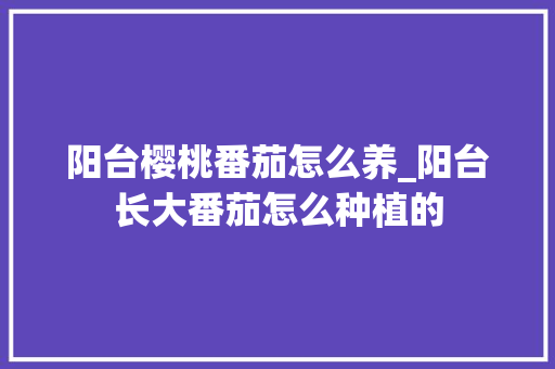 阳台樱桃番茄怎么养_阳台长大番茄怎么种植的