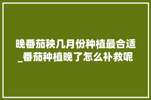 晚番茄秧几月份种植最合适_番茄种植晚了怎么补救呢 晚番茄秧几月份种植最合适_番茄种植晚了怎么补救呢 番茄种植技巧