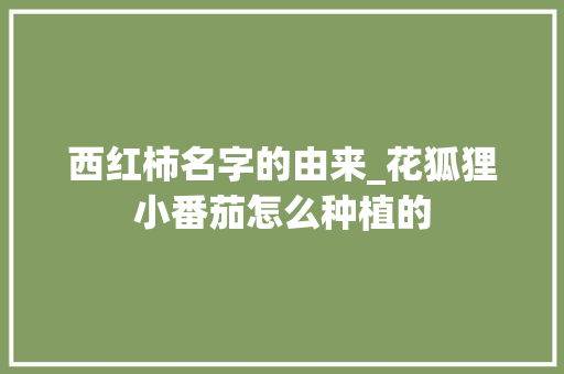 西红柿名字的由来_花狐狸小番茄怎么种植的 西红柿名字的由来_花狐狸小番茄怎么种植的 番茄病虫害防治