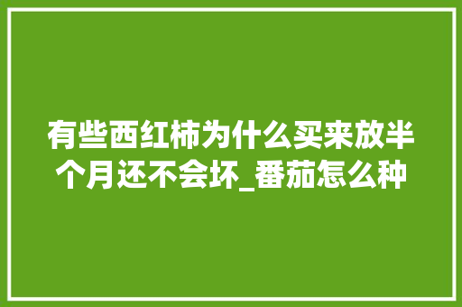 有些西红柿为什么买来放半个月还不会坏_番茄怎么种植不坏果呢 有些西红柿为什么买来放半个月还不会坏_番茄怎么种植不坏果呢 种植技巧