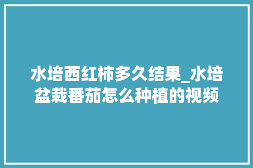 水培西红柿多久结果_水培盆栽番茄怎么种植的视频