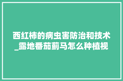 西红柿的病虫害防治和技术_露地番茄蓟马怎么种植视频 西红柿的病虫害防治和技术_露地番茄蓟马怎么种植视频 番茄病虫害防治