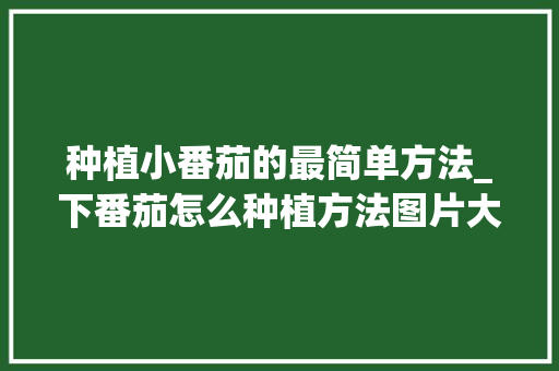 种植小番茄的最简单方法_下番茄怎么种植方法图片大全 种植小番茄的最简单方法_下番茄怎么种植方法图片大全 番茄病虫害防治