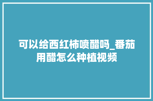 可以给西红柿喷醋吗_番茄用醋怎么种植视频