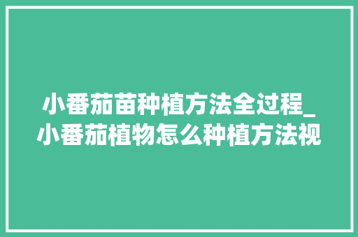 小番茄苗种植方法全过程_小番茄植物怎么种植方法视频 小番茄苗种植方法全过程_小番茄植物怎么种植方法视频 番茄病虫害防治