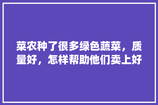 菜农种了很多绿色蔬菜，质量好，怎样帮助他们卖上好价钱呢_厨房蔬菜种植技巧视频教程 菜农种了很多绿色蔬菜，质量好，怎样帮助他们卖上好价钱呢_厨房蔬菜种植技巧视频教程 花朵知识