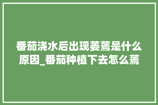 番茄浇水后出现萎蔫是什么原因_番茄种植下去怎么蔫了呢 番茄浇水后出现萎蔫是什么原因_番茄种植下去怎么蔫了呢 番茄病虫害防治