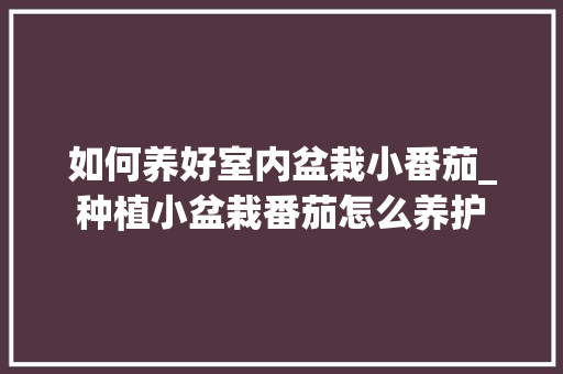 如何养好室内盆栽小番茄_种植小盆栽番茄怎么养护 土壤施肥 如何养好室内盆栽小番茄_种植小盆栽番茄怎么养护 如何养好室内盆栽小番茄_种植小盆栽番茄怎么养护 土壤施肥