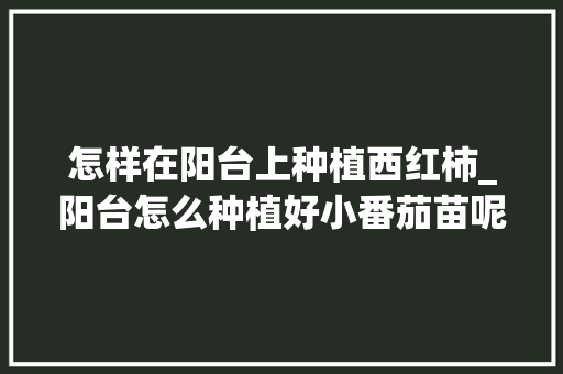 怎样在阳台上种植西红柿_阳台怎么种植好小番茄苗呢 怎样在阳台上种植西红柿_阳台怎么种植好小番茄苗呢 花朵知识