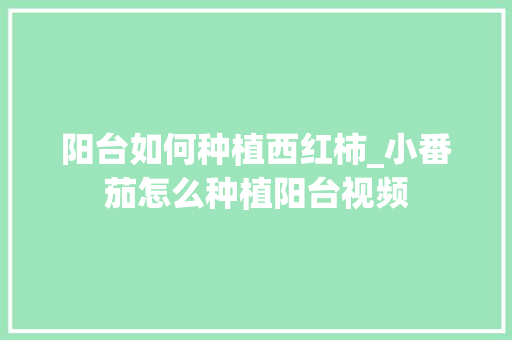 阳台如何种植西红柿_小番茄怎么种植阳台视频 阳台如何种植西红柿_小番茄怎么种植阳台视频 花朵知识