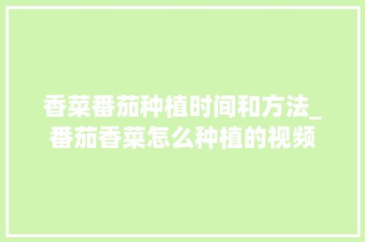 香菜番茄种植时间和方法_番茄香菜怎么种植的视频