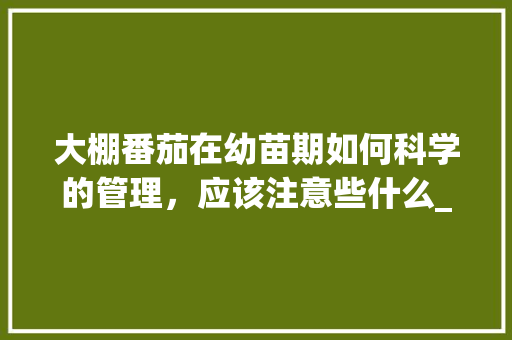 大棚番茄在幼苗期如何科学的管理，应该注意些什么_蔬菜大棚番茄苗怎么种植视频 大棚番茄在幼苗期如何科学的管理，应该注意些什么_蔬菜大棚番茄苗怎么种植视频 农业常识