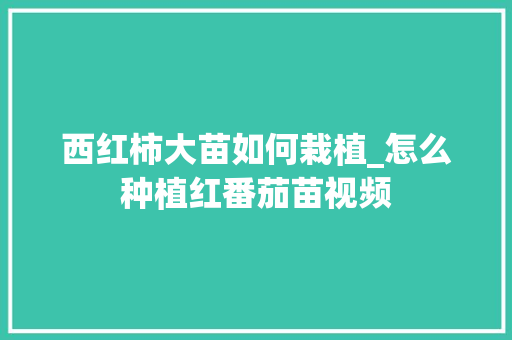 西红柿大苗如何栽植_怎么种植红番茄苗视频 西红柿大苗如何栽植_怎么种植红番茄苗视频 番茄病虫害防治