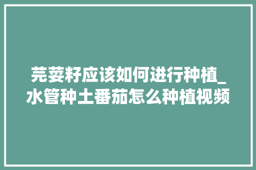 芫荽籽应该如何进行种植_水管种土番茄怎么种植视频
