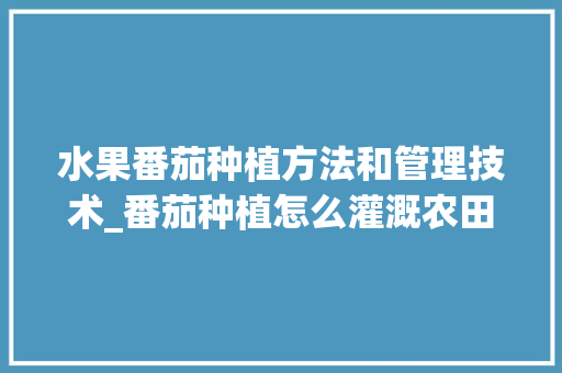 水果番茄种植方法和管理技术_番茄种植怎么灌溉农田视频 水果番茄种植方法和管理技术_番茄种植怎么灌溉农田视频 种植技巧