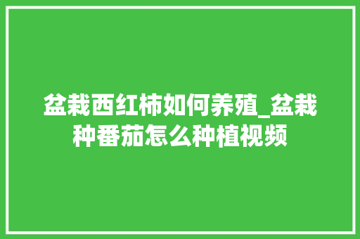 盆栽西红柿如何养殖_盆栽种番茄怎么种植视频 盆栽西红柿如何养殖_盆栽种番茄怎么种植视频 番茄种植技巧