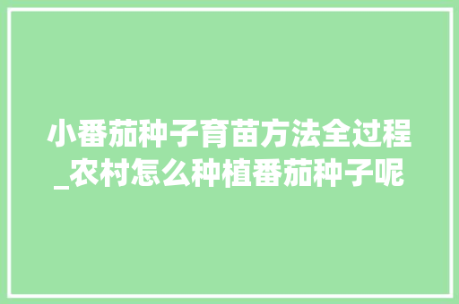小番茄种子育苗方法全过程_农村怎么种植番茄种子呢 番茄种植技巧 小番茄种子育苗方法全过程_农村怎么种植番茄种子呢 小番茄种子育苗方法全过程_农村怎么种植番茄种子呢 番茄种植技巧