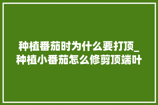 种植番茄时为什么要打顶_种植小番茄怎么修剪顶端叶子 植物种类 种植番茄时为什么要打顶_种植小番茄怎么修剪顶端叶子 种植番茄时为什么要打顶_种植小番茄怎么修剪顶端叶子 植物种类