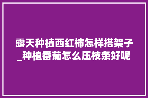 露天种植西红柿怎样搭架子_种植番茄怎么压枝条好呢 露天种植西红柿怎样搭架子_种植番茄怎么压枝条好呢 花朵知识