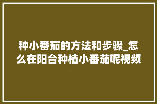 种小番茄的方法和步骤_怎么在阳台种植小番茄呢视频 种小番茄的方法和步骤_怎么在阳台种植小番茄呢视频 番茄种植技巧