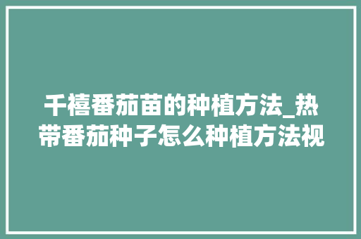 千禧番茄苗的种植方法_热带番茄种子怎么种植方法视频 千禧番茄苗的种植方法_热带番茄种子怎么种植方法视频 番茄病虫害防治