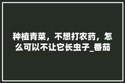 种植青菜，不想打农药，怎么可以不让它长虫子_番茄种植怎么防草腐病 种植青菜，不想打农药，怎么可以不让它长虫子_番茄种植怎么防草腐病 番茄病虫害防治