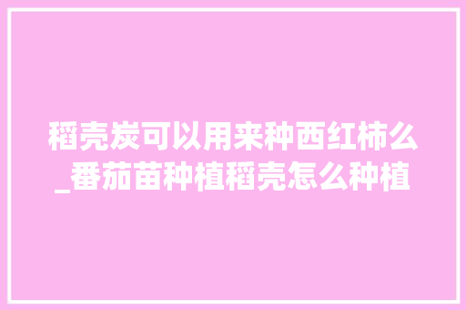 稻壳炭可以用来种西红柿么_番茄苗种植稻壳怎么种植