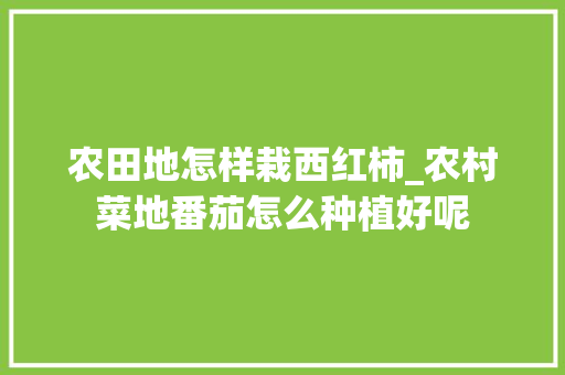 农田地怎样栽西红柿_农村菜地番茄怎么种植好呢 农田地怎样栽西红柿_农村菜地番茄怎么种植好呢 植物种类