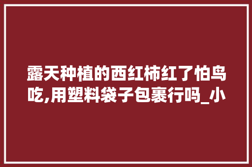 露天种植的西红柿红了怕鸟吃,用塑料袋子包裹行吗_小番茄种植盆子怎么种植视频 露天种植的西红柿红了怕鸟吃,用塑料袋子包裹行吗_小番茄种植盆子怎么种植视频 番茄病虫害防治