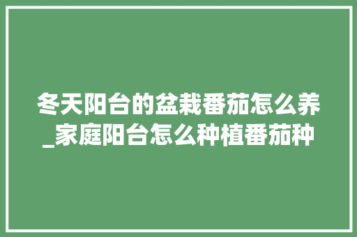 冬天阳台的盆栽番茄怎么养_家庭阳台怎么种植番茄种子