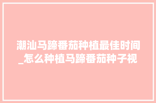潮汕马蹄番茄种植最佳时间_怎么种植马蹄番茄种子视频